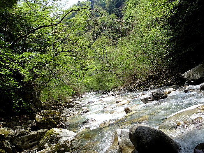 c0339900_935225.jpg
