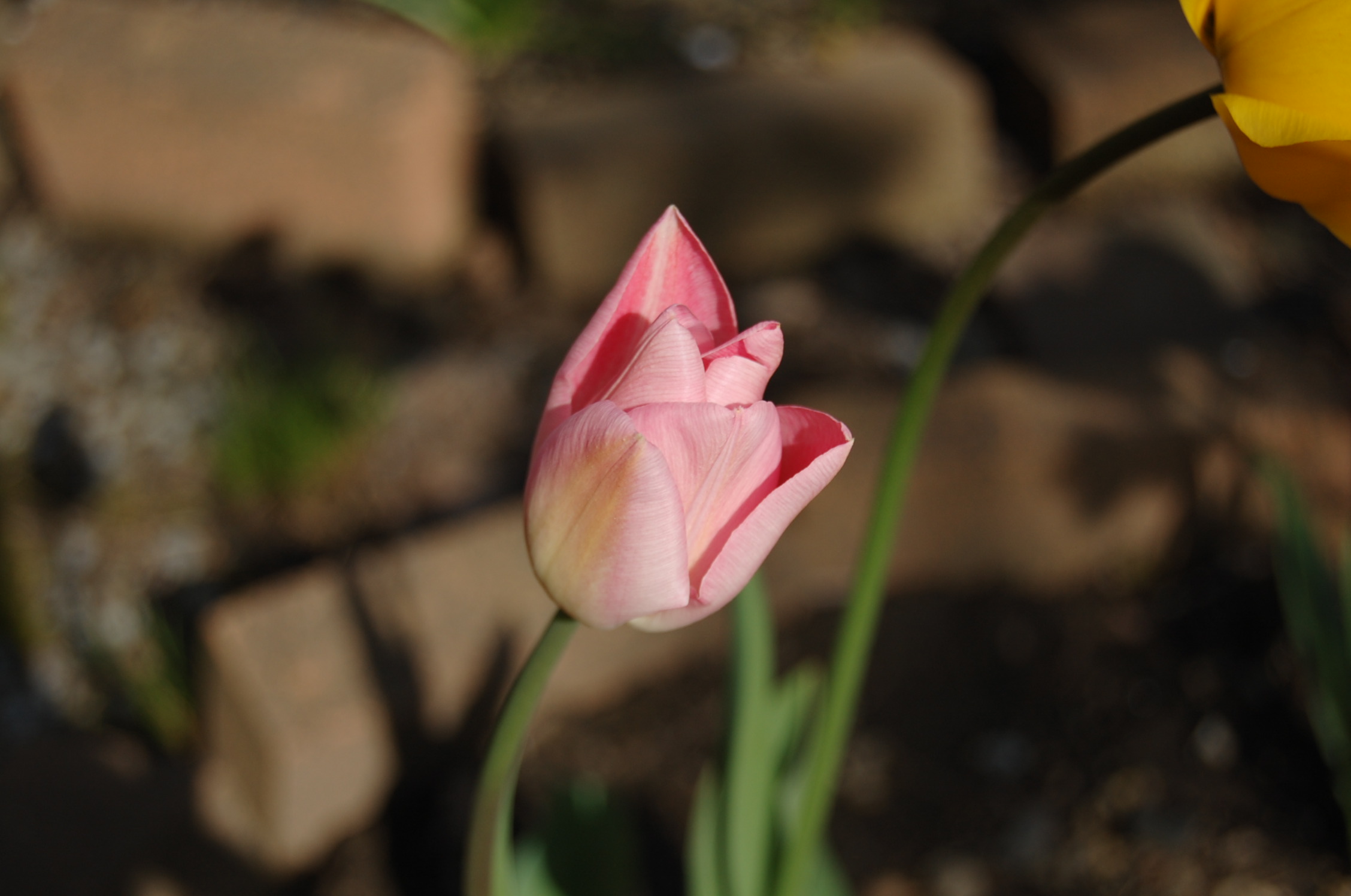 a0292602_9464867.jpg