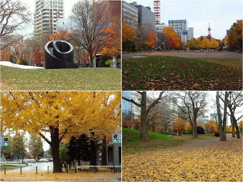 大通公園ひとりじめ。_b0067302_14292476.jpg