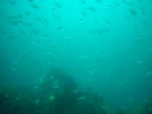 c0368903_07452078.jpg