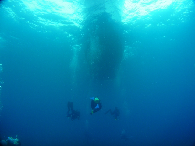 20100606三島村竹島（その３）_c0368903_07571875.jpg