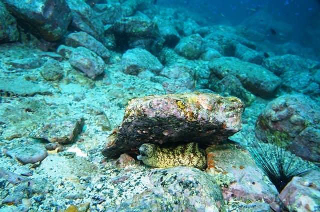 c0368903_08201000.jpg