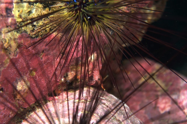 c0368903_08202914.jpg