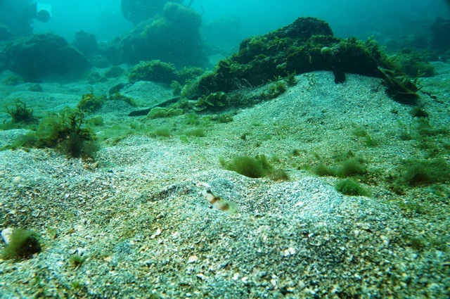 c0368903_08204235.jpg