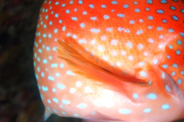 c0368903_08210144.jpg