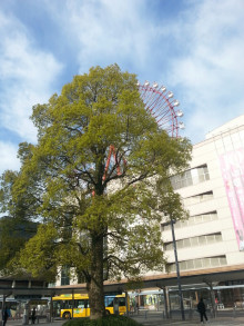 c0368903_08215159.jpg