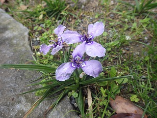 c0280206_554825.jpg