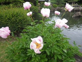c0280206_6152638.jpg