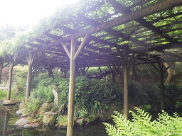 c0280206_6163816.jpg