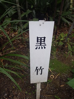 c0280206_6184052.jpg