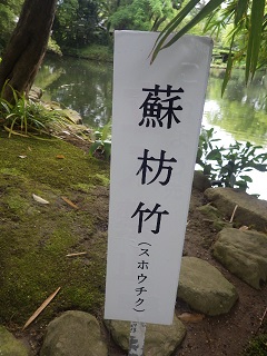 c0280206_6191937.jpg