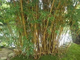 c0280206_6192865.jpg