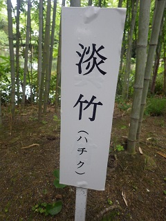 c0280206_6194257.jpg