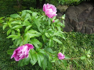 c0280206_6221623.jpg