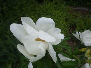 c0280206_6222789.jpg