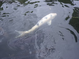 c0280206_62843.jpg