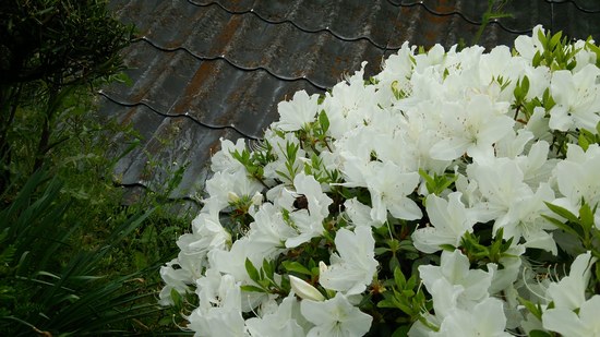 f0221708_2247155.jpg