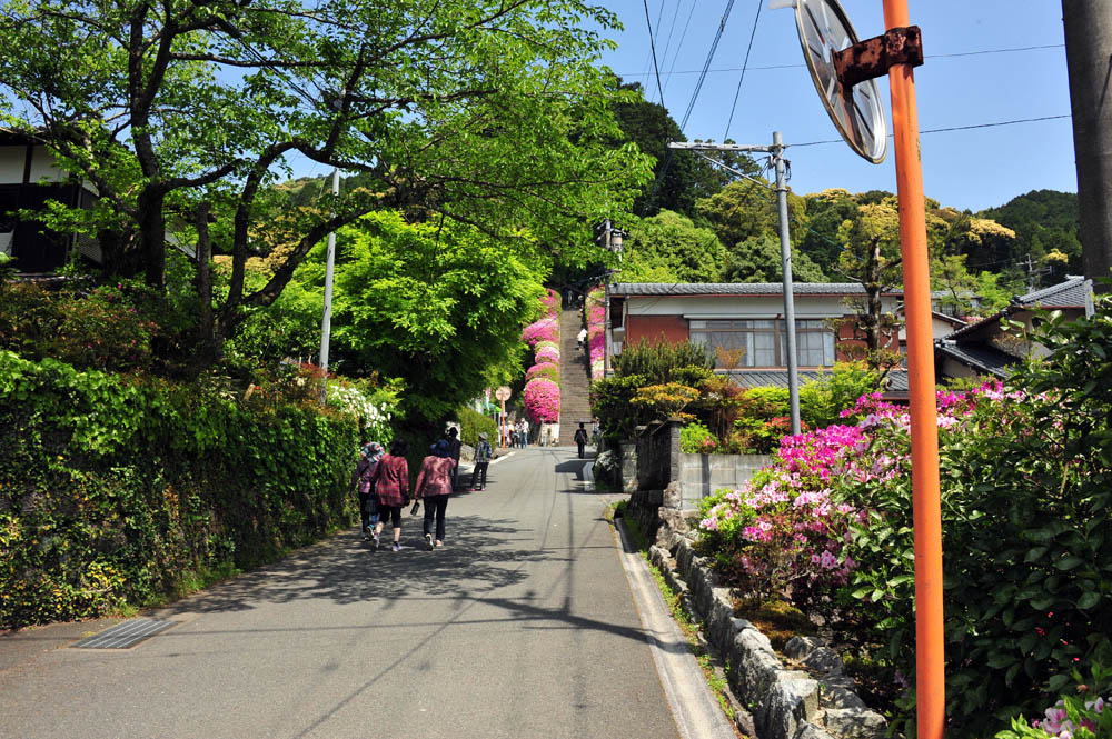 大興善寺・つつじ寺 （佐賀県基山町）_a0042310_12103838.jpg