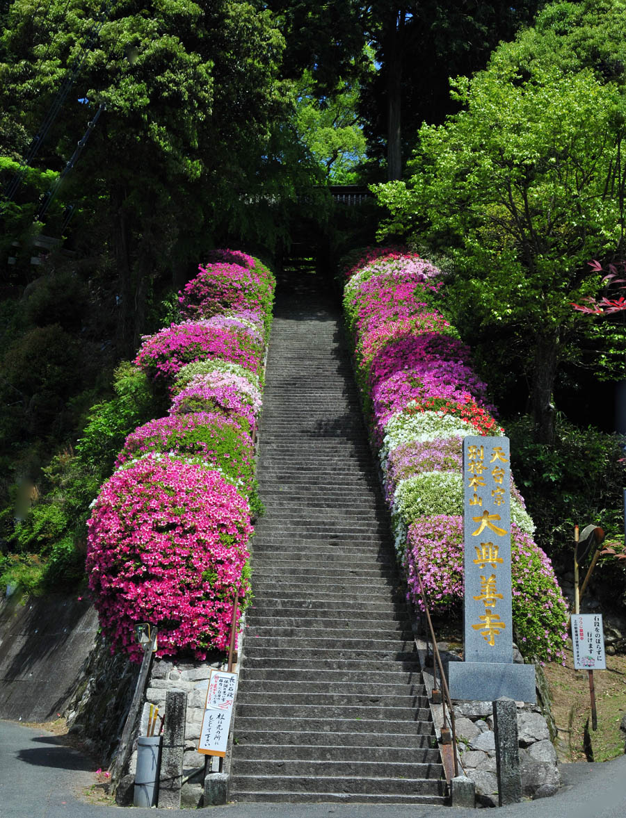 大興善寺・つつじ寺 （佐賀県基山町）_a0042310_12125718.jpg