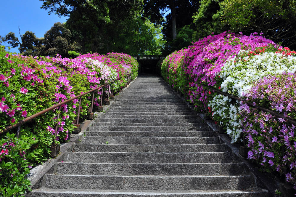 大興善寺・つつじ寺 (佐賀県基山町)_a0042310_12131594.jpg