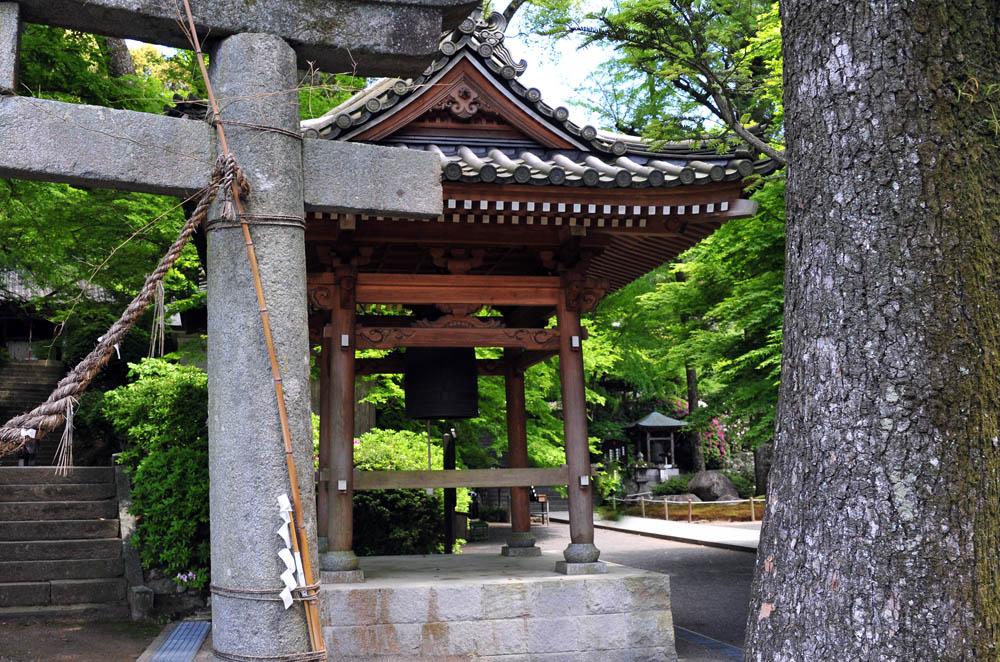 大興善寺・つつじ寺 (佐賀県基山町)_a0042310_12154795.jpg