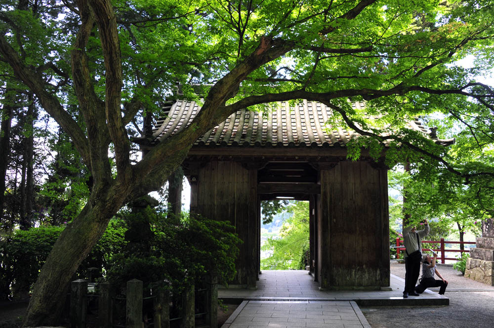 大興善寺・つつじ寺 （佐賀県基山町）_a0042310_12155757.jpg