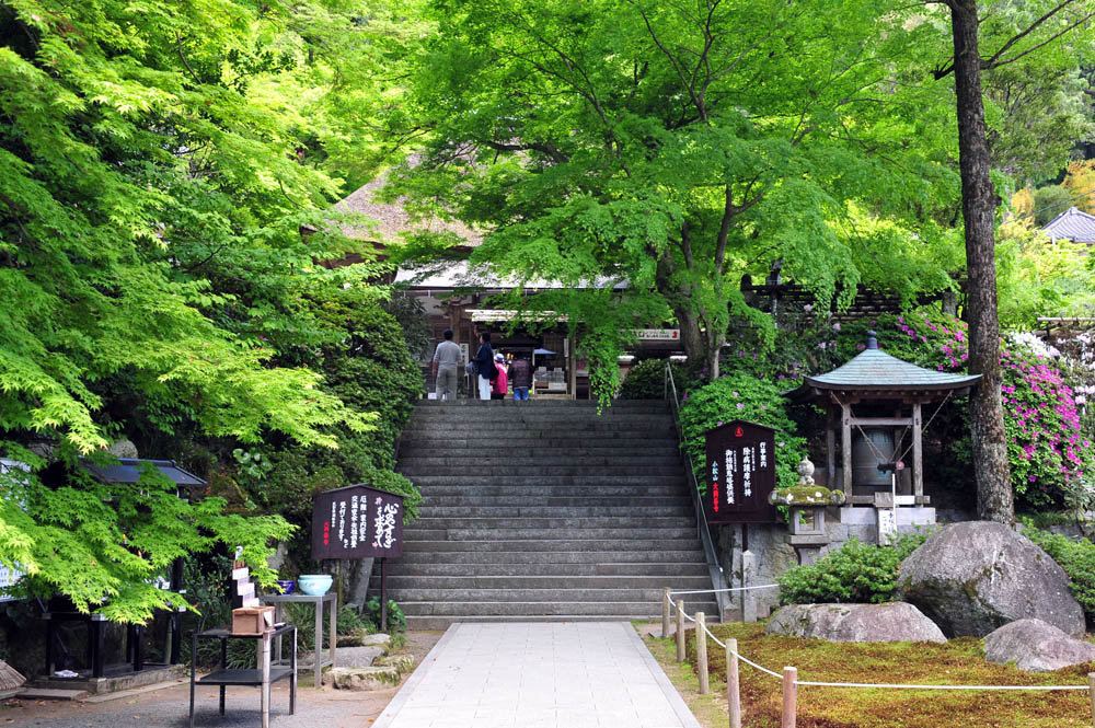 大興善寺・つつじ寺 （佐賀県基山町）_a0042310_12161027.jpg