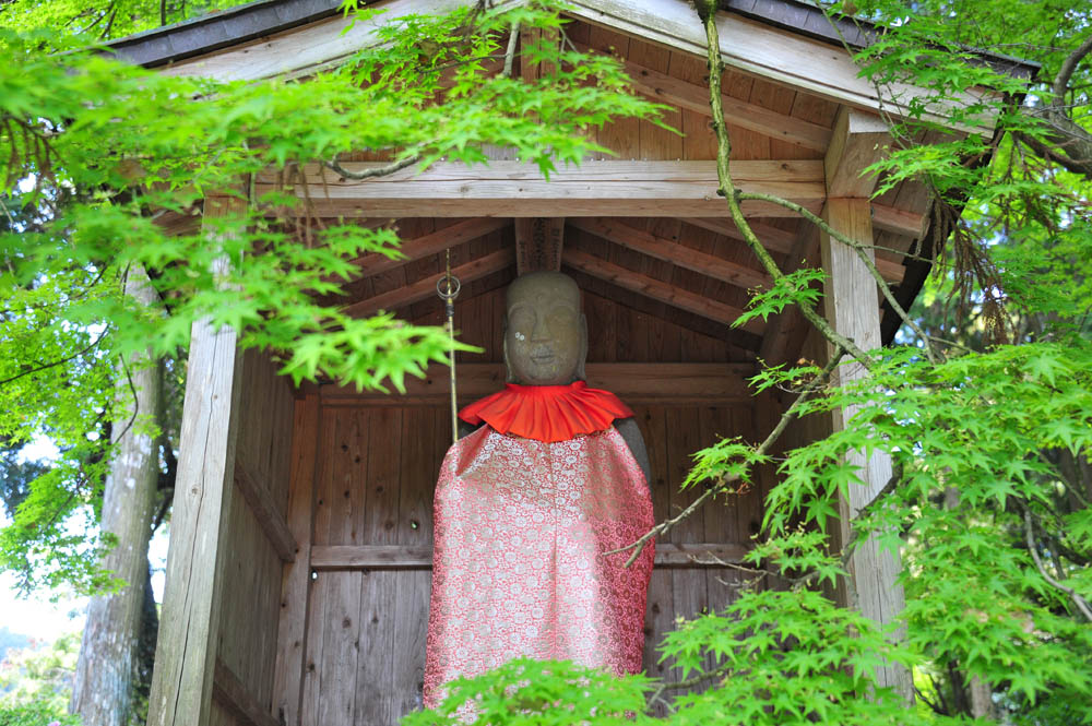 大興善寺・つつじ寺 (佐賀県基山町)_a0042310_12162465.jpg