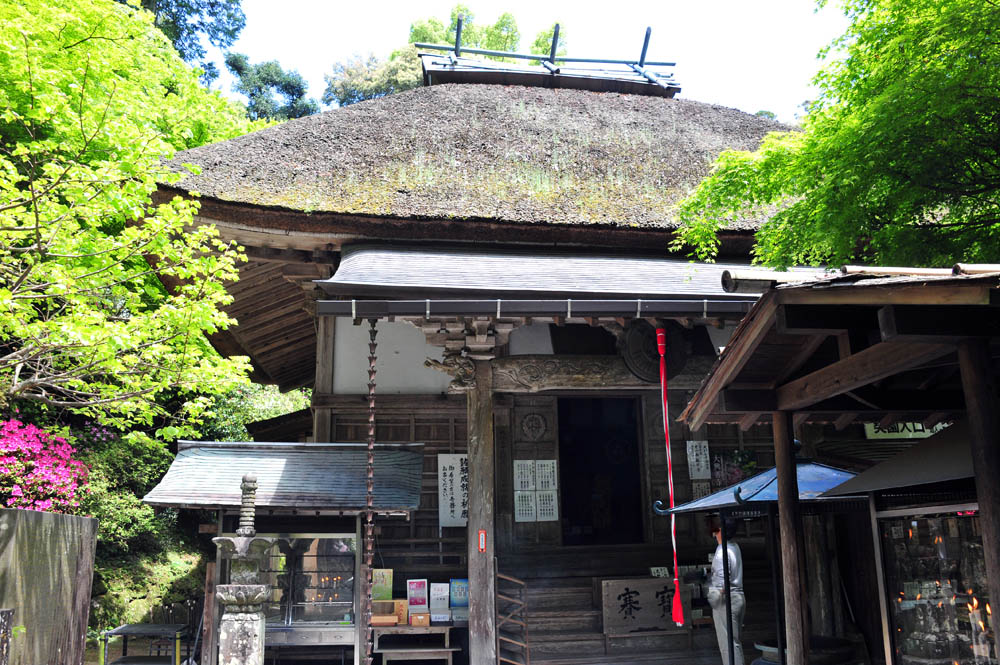 大興善寺・つつじ寺 (佐賀県基山町)_a0042310_12182017.jpg