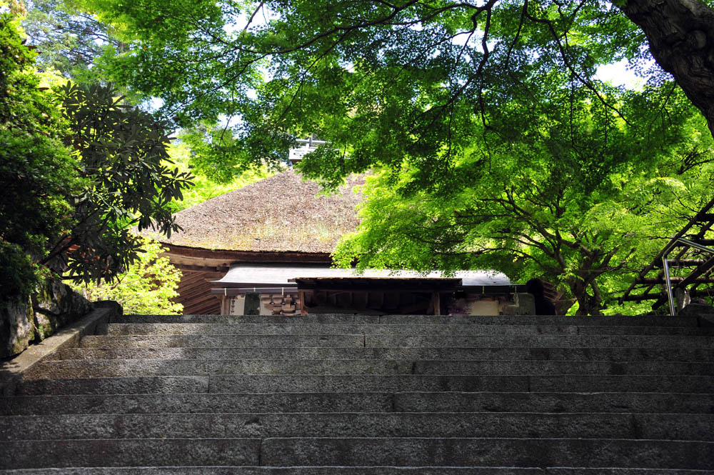 大興善寺・つつじ寺 （佐賀県基山町）_a0042310_1218832.jpg