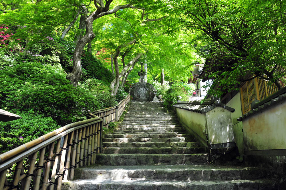 大興善寺・つつじ寺 （佐賀県基山町）_a0042310_12223044.jpg