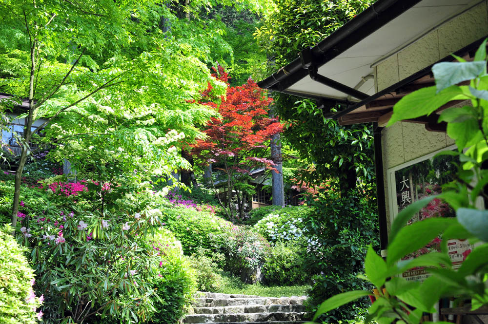 大興善寺・つつじ寺 （佐賀県基山町）_a0042310_1223269.jpg