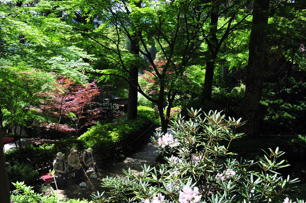 大興善寺・つつじ寺 （佐賀県基山町）_a0042310_12363597.jpg