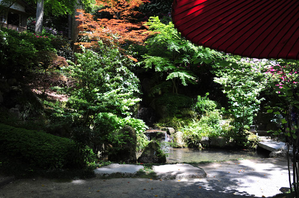 大興善寺・つつじ寺 (佐賀県基山町)_a0042310_12374843.jpg