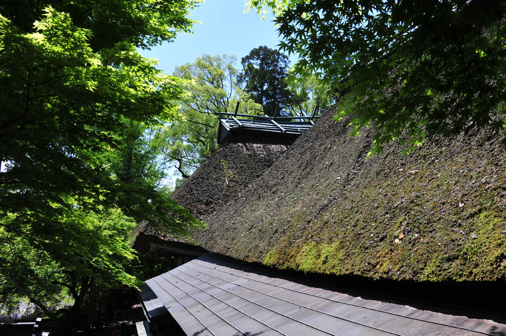 大興善寺・つつじ寺 (佐賀県基山町)_a0042310_12383381.jpg