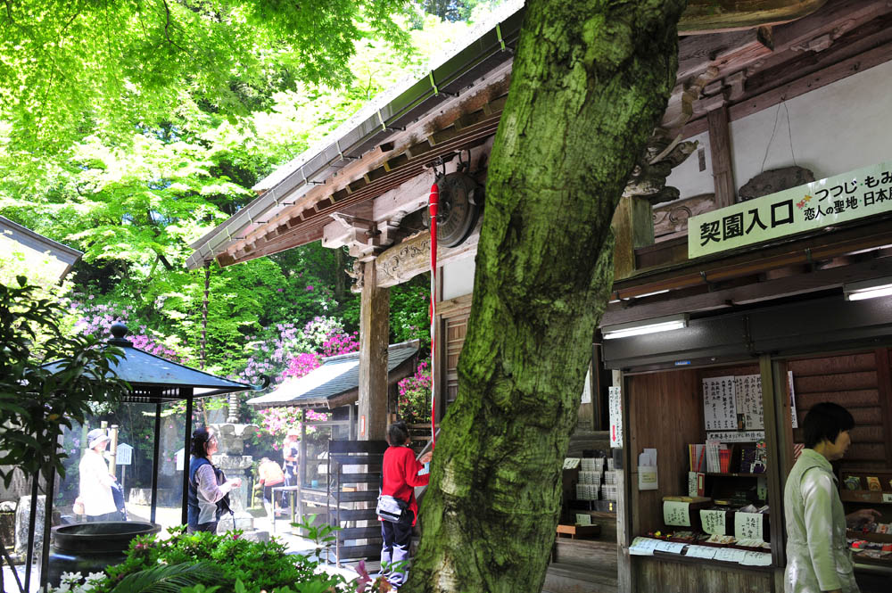 大興善寺・つつじ寺 （佐賀県基山町）_a0042310_12404829.jpg