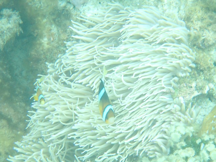 e0198111_21491116.jpg