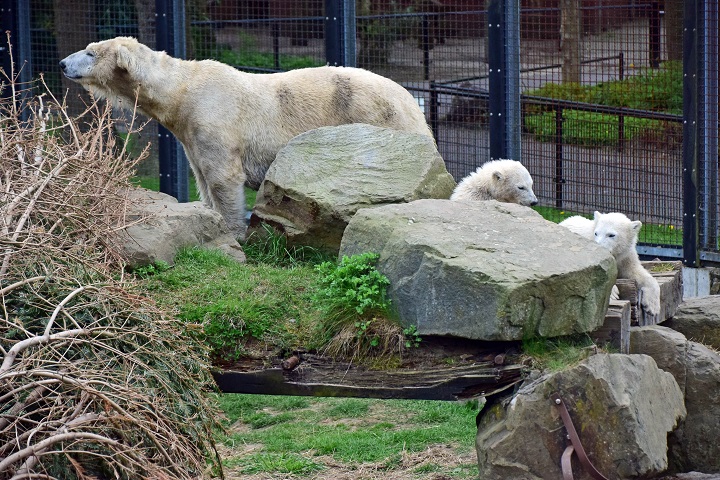 a0151913_6491569.jpg