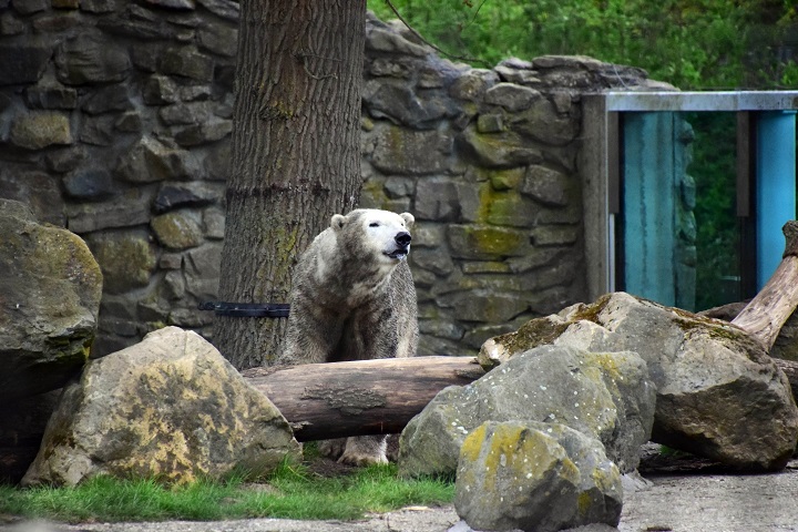 a0151913_6522423.jpg
