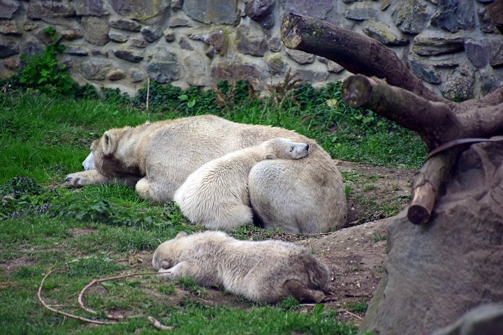 a0151913_8183925.jpg