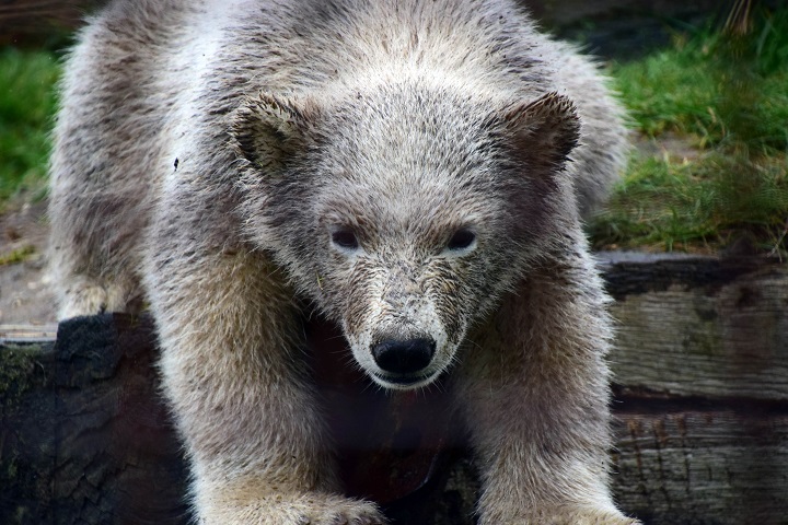 a0151913_9272468.jpg