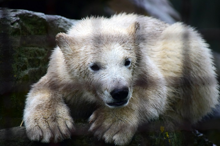 a0151913_9361984.jpg