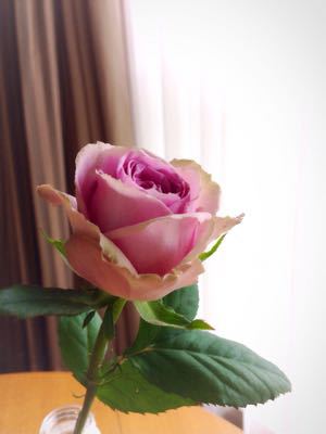 f0189813_2341323.jpg