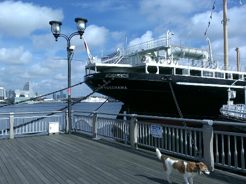 c0084117_13253280.jpg