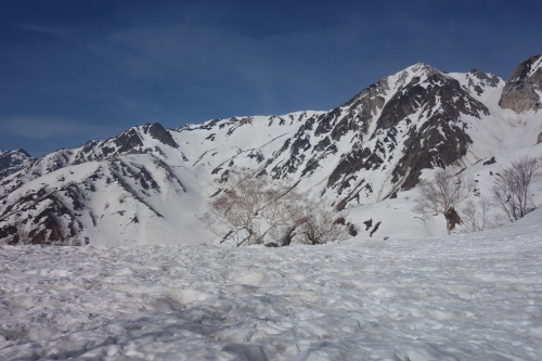 c0223019_16183598.jpg