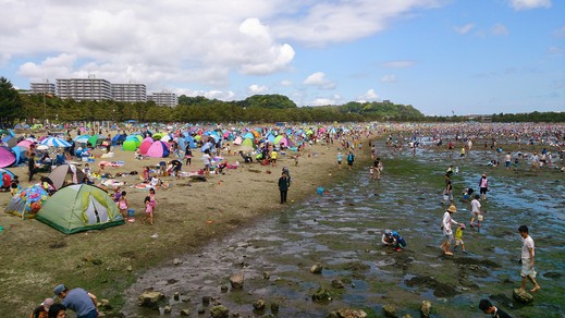 八景島の海の公園で潮干狩り_b0001324_2216585.jpg