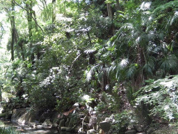 a0226627_9141946.jpg
