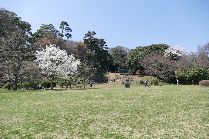 しだれ桜の紹太寺から石垣山一夜城を目指す　その８_c0196928_10451495.jpg