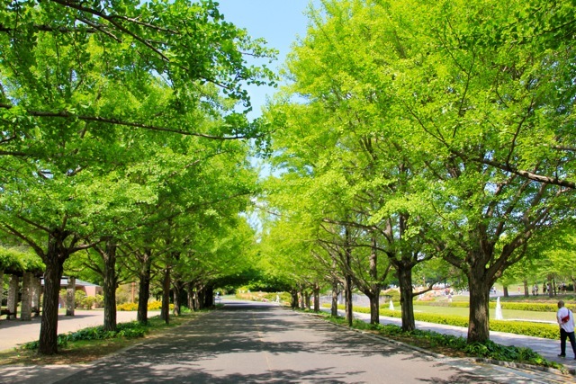 f0348831_08512162.jpg