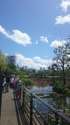 上野動物園♪_f0223334_21561636.jpg